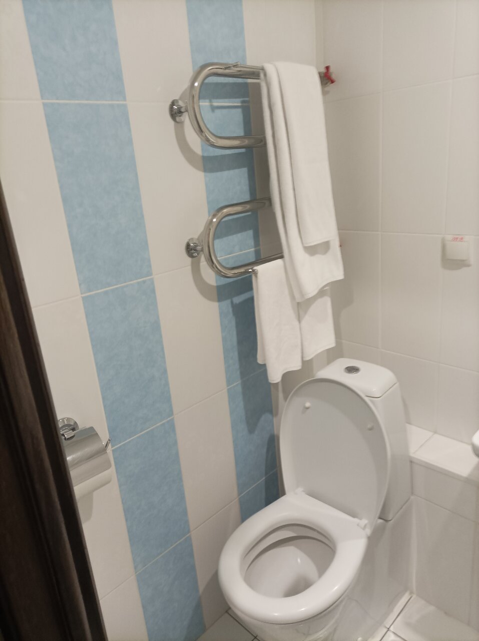 Гостиница Десна Брянск-79