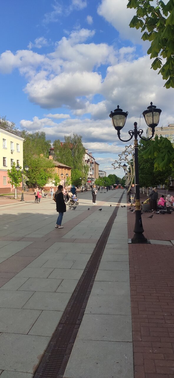 Гостиница Десна Брянск-54