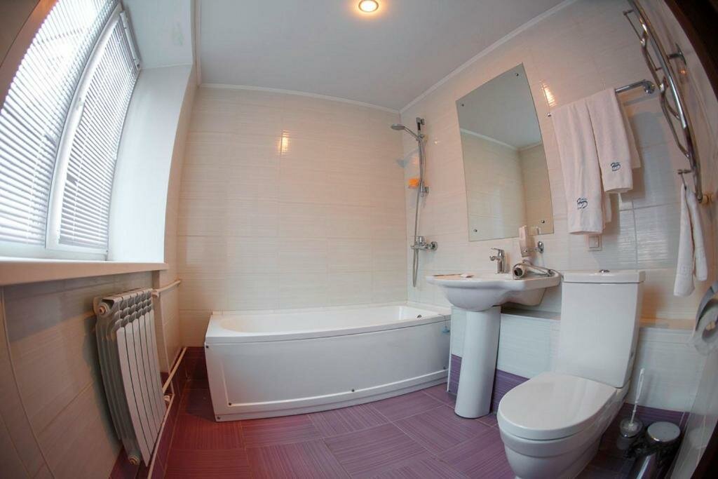 Гостиница Десна Брянск-88