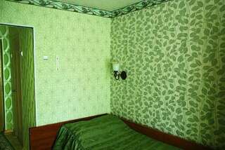 Гостиница Десна Брянск 2-местный бюджетный TWIN-1