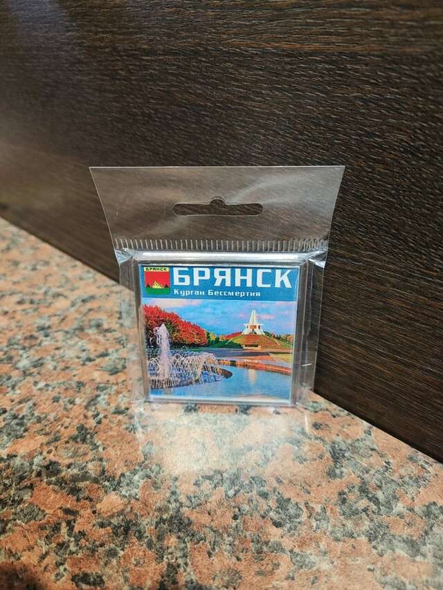 Гостиница Десна Брянск-28