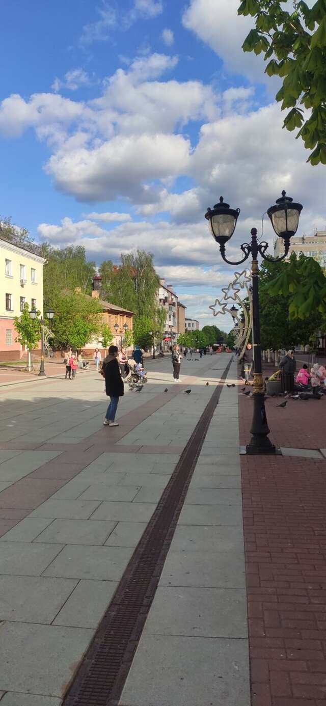 Гостиница Десна Брянск-53