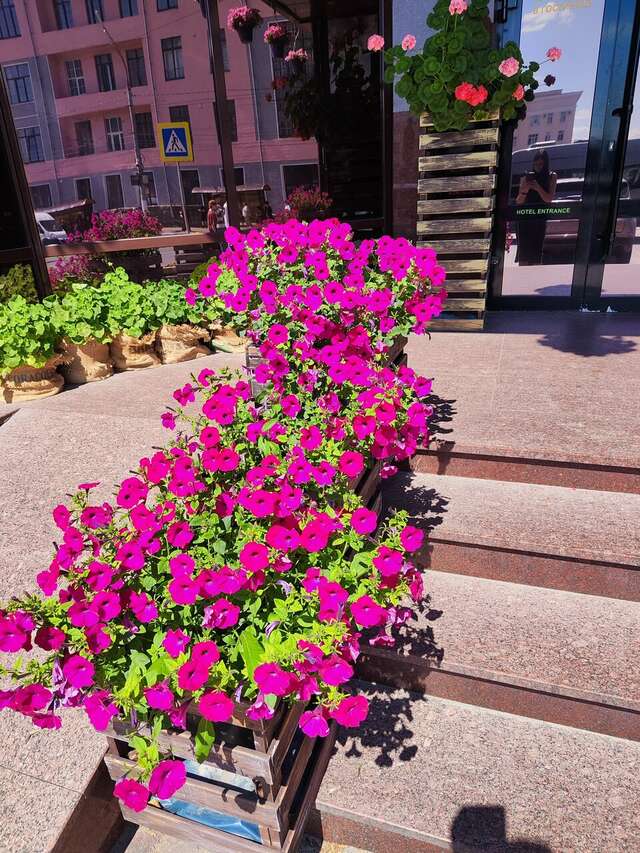 Гостиница Десна Брянск-161