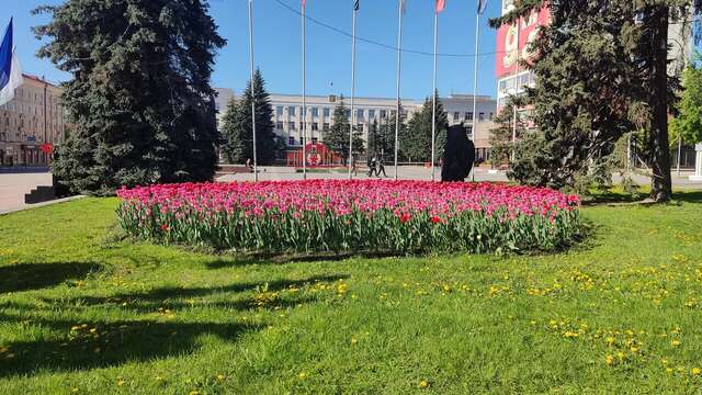 Гостиница Десна Брянск-24